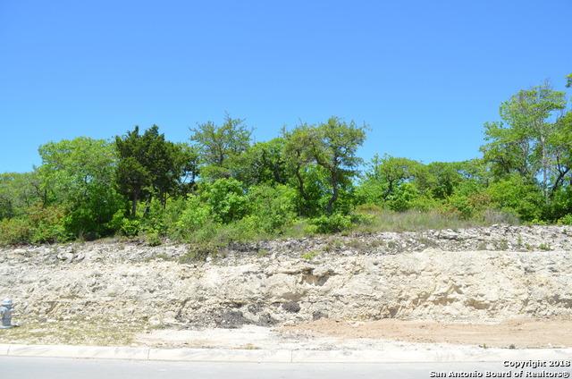 LOT 59 Ivory Cyn - Photo 1