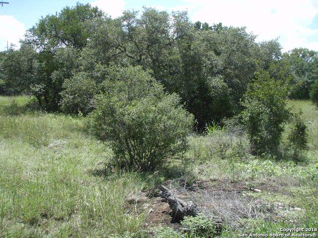 TBD County Road 2725 - Photo 1