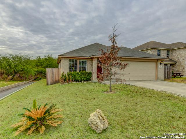 7403 Copper Mesa - Photo 1