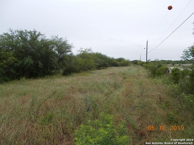 11025 AND 11278 Lower Seguin Road - Photo 1