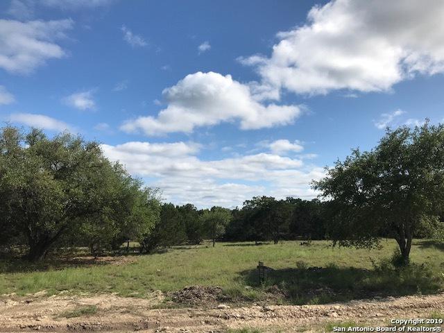 HOME SITE 30 Rio Azul - Photo 1