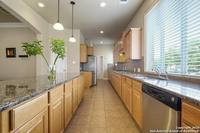 26003 Torena Loop - Photo 1