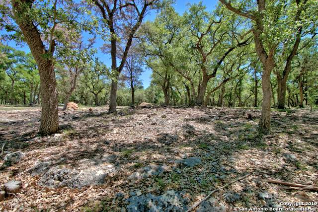 33807 Blanco Rd - Photo 1