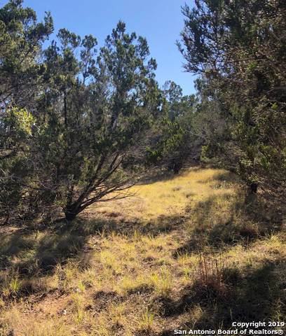 800 Rabbit Rd - Photo 1