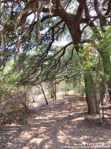 TBD Kings Ranch Rd - Photo 1