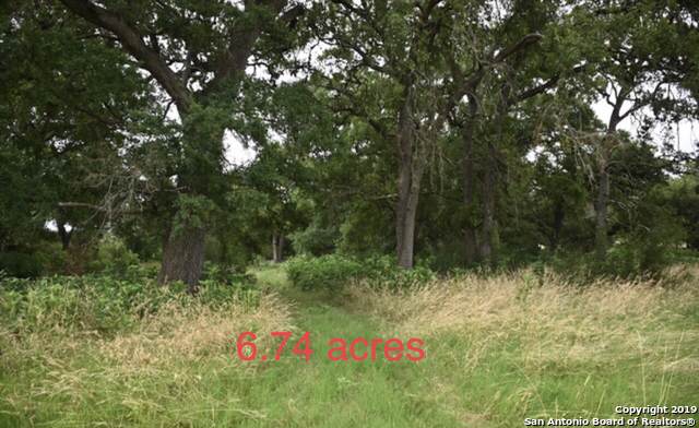 783 Pinto Canyon - Photo 1
