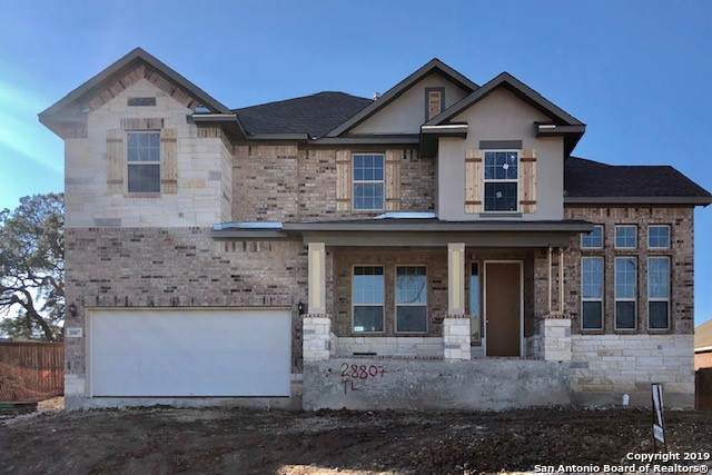 28807 Throssel Lane - Photo 1