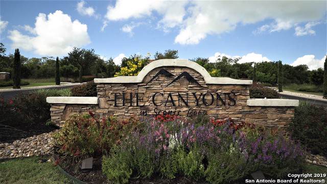 23402 Collin Canyon - Photo 1