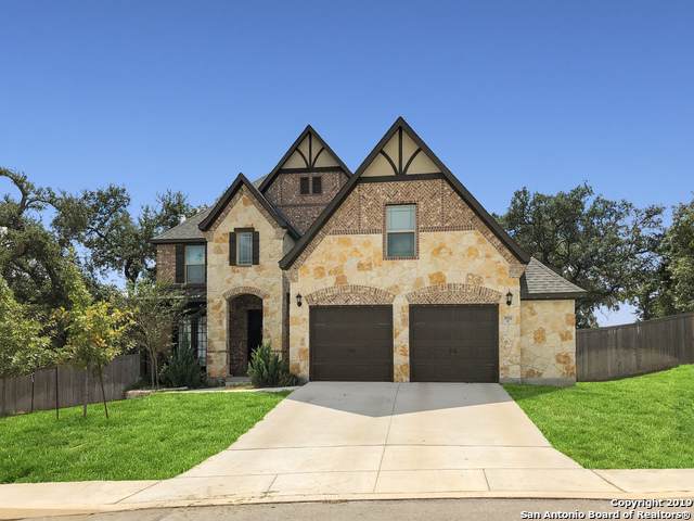 1702 Tree Fern - Photo 1