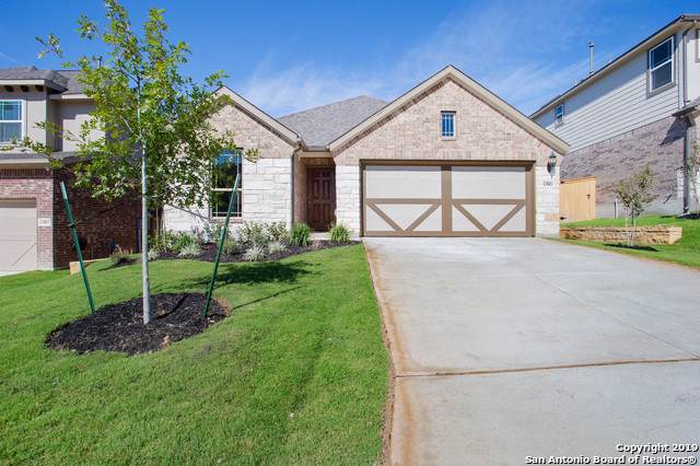 13803 Isaris Ln - Photo 1