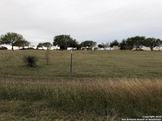 1170 Atascosa County Road 101 - Photo 1