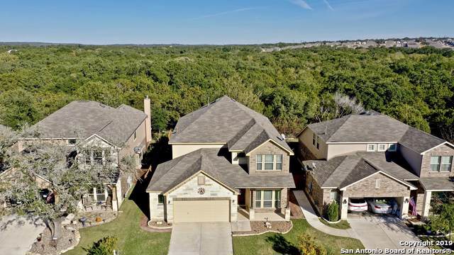 22810 Malabar Peak - Photo 1