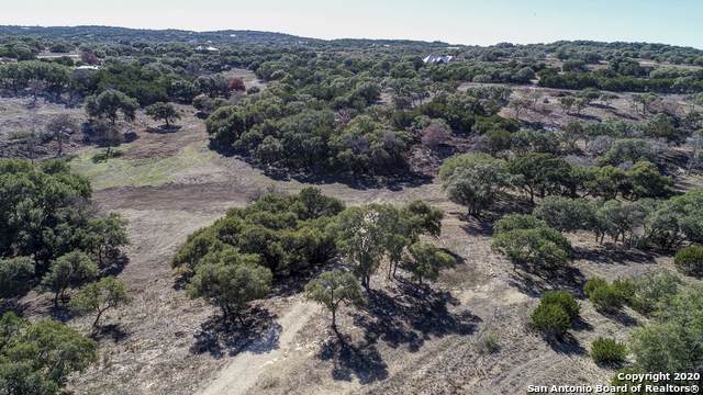 2163 Owl Branch - Photo 1