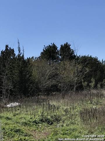 / Pine - Photo 1