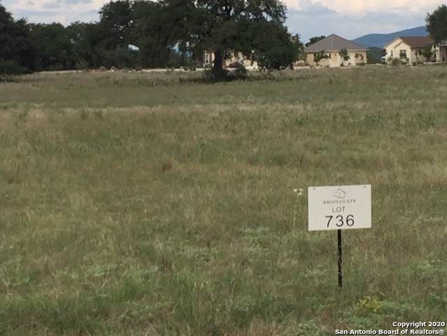 327 Salt Grass - Photo 1