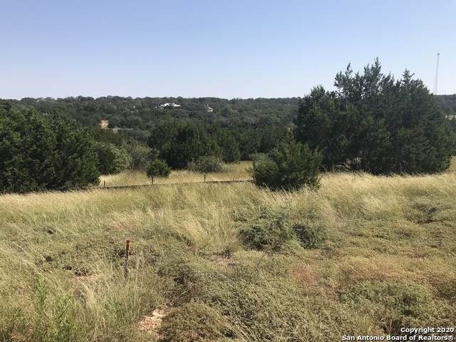 739 Iron Hill - Photo 1