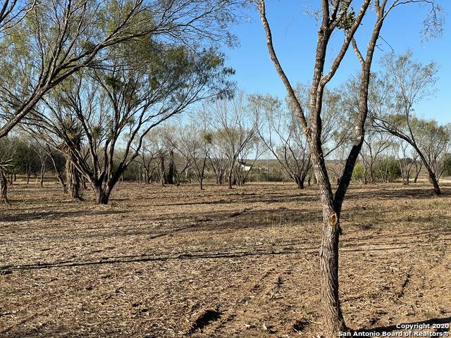 257 County Road 1647 - Photo 1