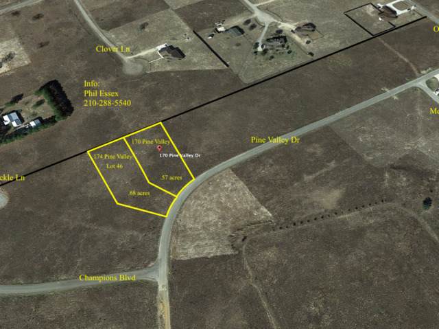 170 Pine Valley Dr - Photo 1