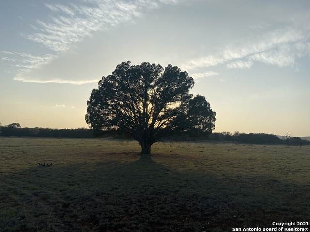 6339 State Highway 16 S - Photo 1