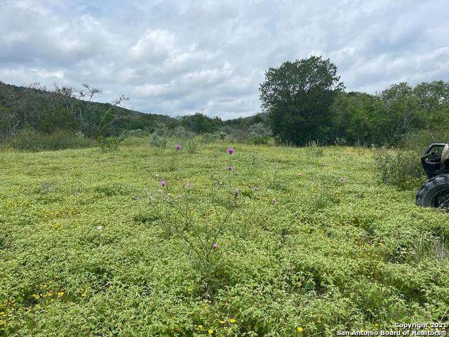 LOT 10 Hwy 55 - Photo 1