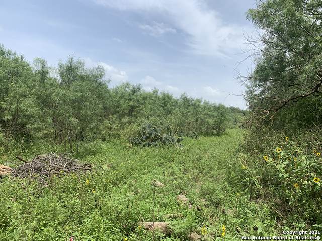 10393 Poteet Jourdanton Fwy - Photo 1