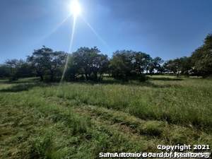 917 Annabelle Ave - Photo 1