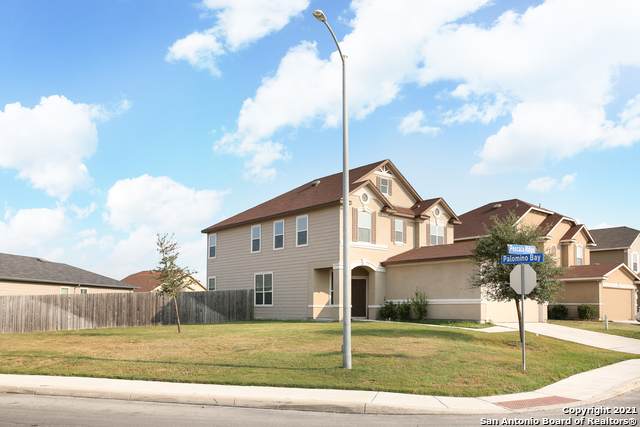 7027 Pescala Ridge - Photo 1
