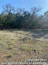 250 Mexican Hat Dr - Photo 1