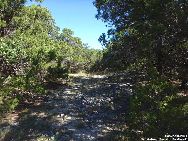 20060 Helotes Creek Rd - Photo 1
