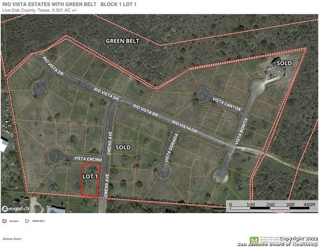LOT 1 Owens Avenue - Photo 1