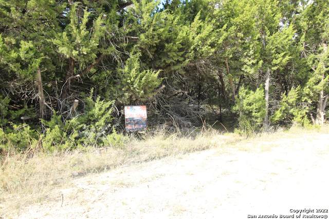 TBD Skyline Dr - Photo 1