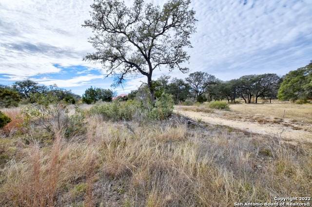 23115 Taylor Ridge - Photo 1