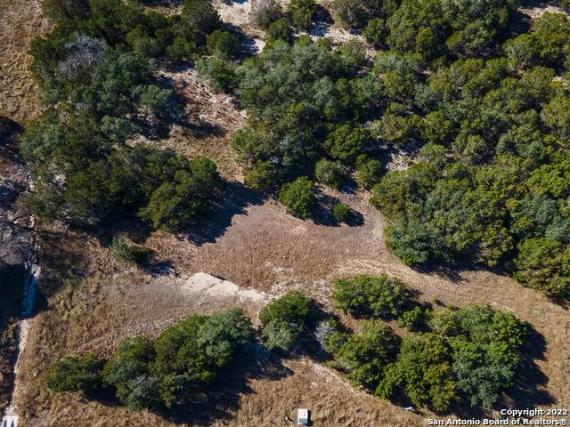 973 Malbec Loop - Photo 1