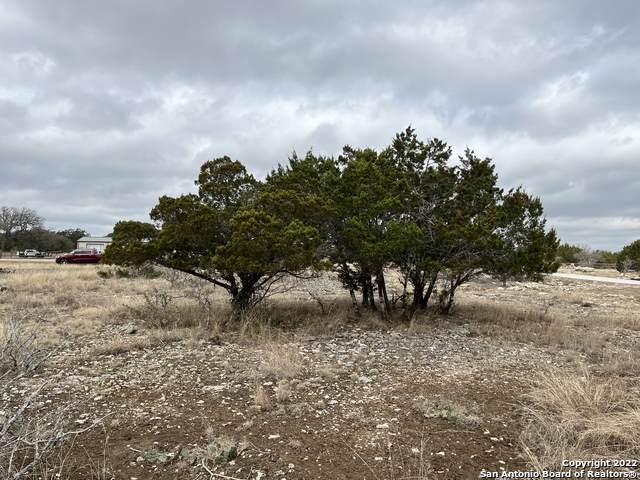 LOT 338 Highland Meadows - Photo 1