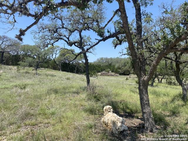 1125 Rebecca's Way - Photo 1