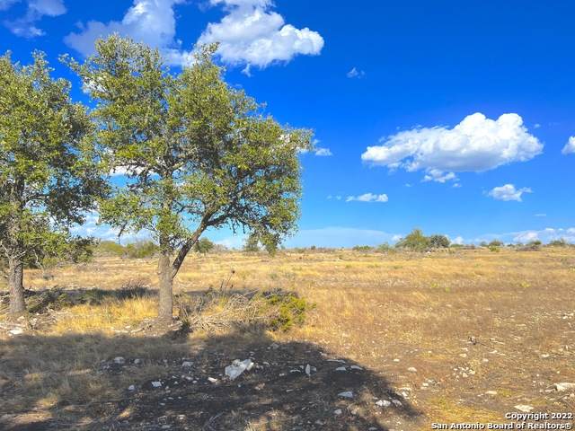 21900 -6 U.S. Highway 83 - Photo 1