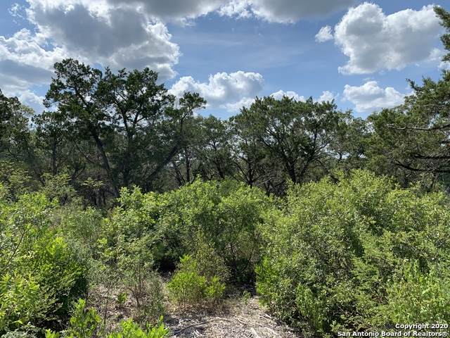 LOT 13 BLOCK 1 Private Road 2771 - Photo 1