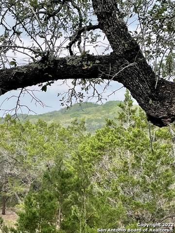 2535 Smoke Rise Cyn - Photo 1