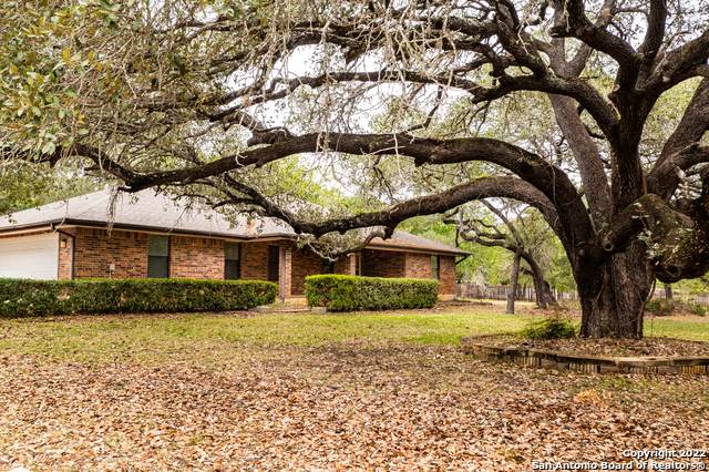 203 Cherry Ridge - Photo 1