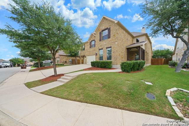 25910 Kidneywood - Photo 1