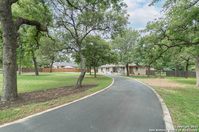305 Forest Country Dr - Photo 1