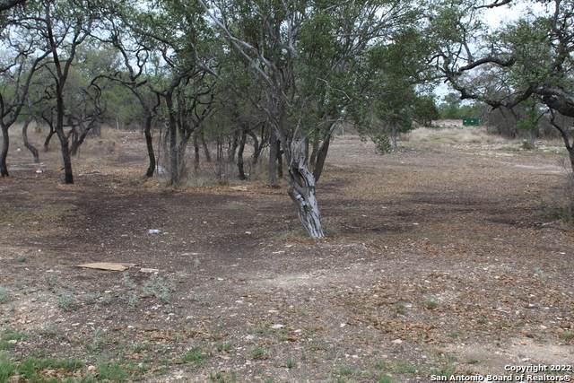 LOT 66 Bauer Lane - Photo 1