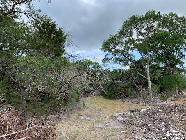 VO LOT 2377 To Be Determined - Photo 1