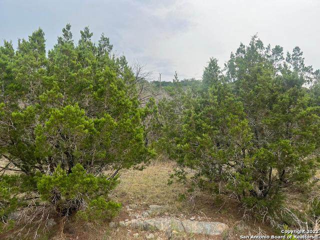 0 Rockmoor - Photo 1