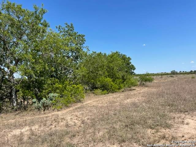 11 County Road 154 - Photo 1