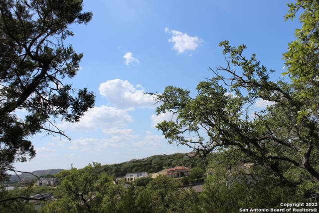 25934 Symphonic Hill - Photo 1