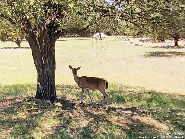 LOT 72 Hunters View Cir - Photo 1