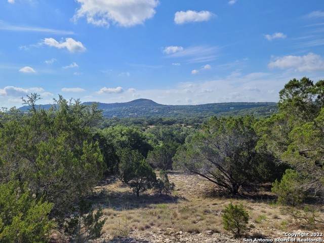 118 Bobby Clark Dr - Photo 1