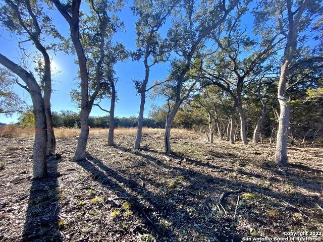 2132 Andalusia - Photo 1
