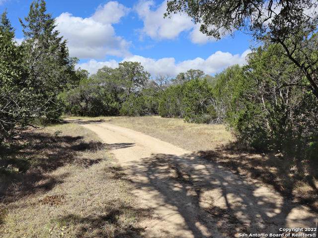 TBD Bruin Creek Rd - Photo 1